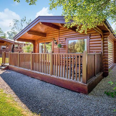 Fingle Glen Lodges Whitestone 外观 照片